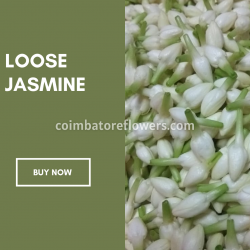 loose_jasmine