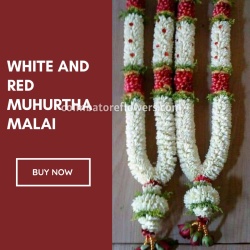 White_and_Red_Muhurtha_Malai_Set.jpg