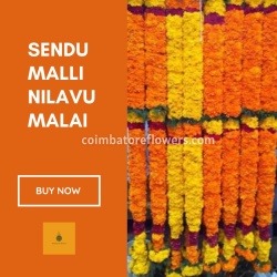 Sendu_Malli_Nilavu_Malai