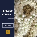 Jasmine string