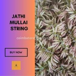 Jathi Mullai String