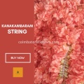 Kanakambaram String