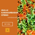 Green Mullai Kanakambaram String