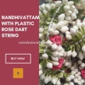 Nandhivattam with Plastic Rose Dart