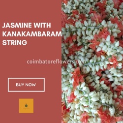 Jasmine with Kanakambaram string