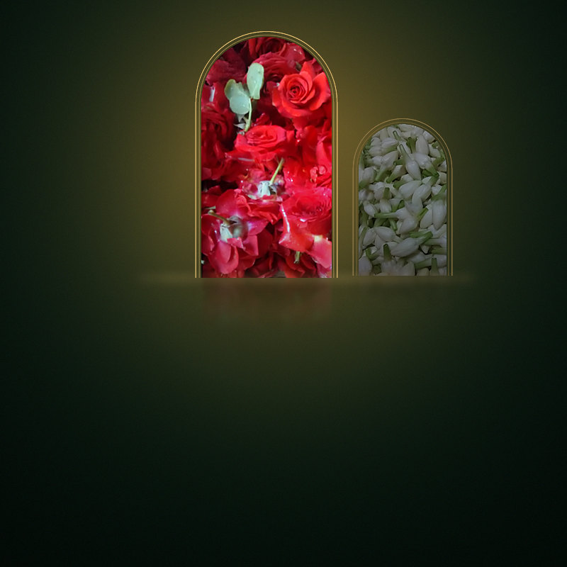 Fresh loose red roses and jasmine buds in arched gold frames